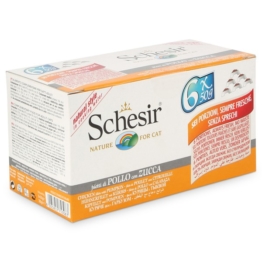 Schesir Cat Katzenfutter Multipack 6x50g - Natural Huhn mit Kürbis